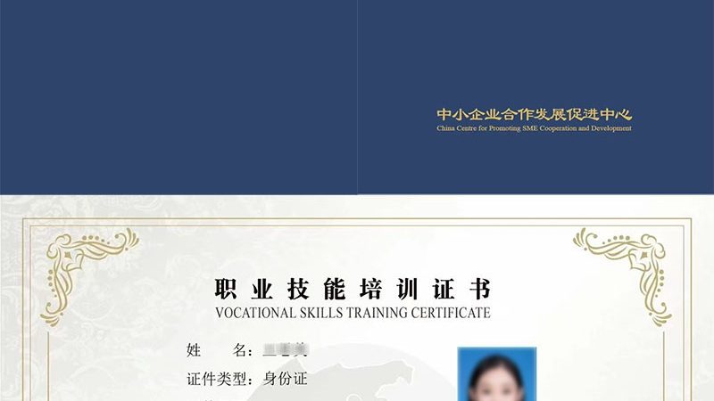 AI应用开发定制方案：构建智能时代的核心竞争力