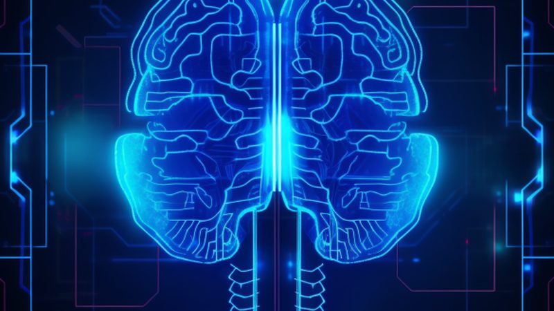 调参不是玄学，是科学：从一次模型训练失败说起